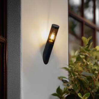 Statius buitenwandlamp, antraciet, ijzer, 40 cm antraciet, transparant