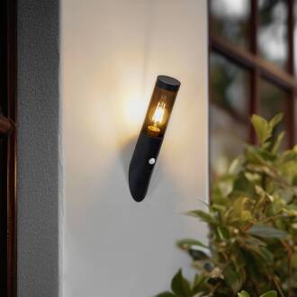 Statius buitenwandlamp, antraciet, ijzer, sensor antraciet, transparant