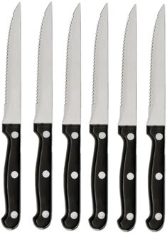 Steakmessen/vleesmessen - 6x stuks - RVS - 22 cm - Messen