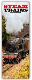 Steam Trains Slim Calendar 2025 Trains Slimline Calendar - 12 Month - Slimline-Kalender - Avonside Publishing Ltd
