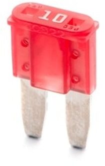 Steekzekering BLSFM2010