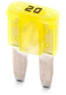 Steekzekering SFM2020