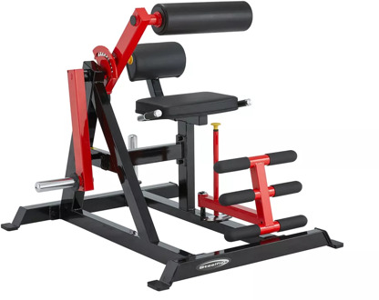 Steelflex PL2400-BR Ab Crunch & Back Extension Machine