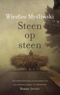 Steen op steen - Boek Wieslaw Mysliwski (9021404141)