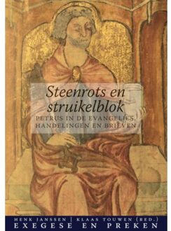 Steenrots en struikelblok - Boek Henk Janssen (9492183528)