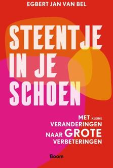 Steentje in je schoen -  Egbert Jan van Bel (ISBN: 9789024450817)