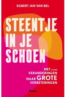 Steentje In Je Schoen - Egbert Jan van Bel