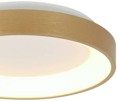 Steinhauer Ringlede LED plafondlamp, goud, hoogte 6 cm, Ø 28 cm