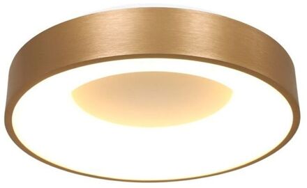 Steinhauer Ringlede Plafondlamp Goud