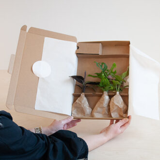 Stekjesbox - 3 stuks