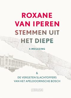 Stemmen uit het diepe - Roxane van Iperen - ebook