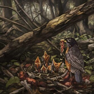 Step Into The Light - The Acacia Strain