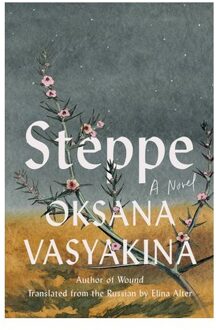 Steppe - Oksana Vasyakina