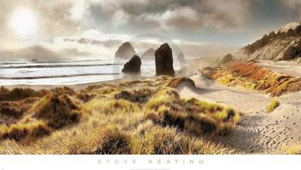 Steve Keating - Pistol River Kunstdruk 99x56cm