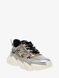 Steve Madden Dames sneaker spectator Veelkleurig - 39