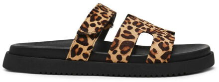 Steve Madden Missile-lc Veelkleurig - 38