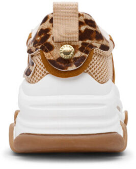 Steve Madden Possession-e sneakers Veelkleurig - 37