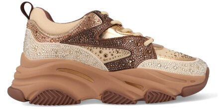 Steve Madden Privy SM19000082-04004-CM3 Bruin maat