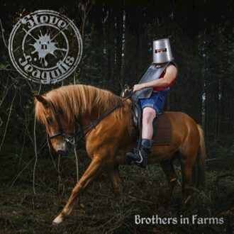 Steve 'n' Seagulls - Brothers In Farms