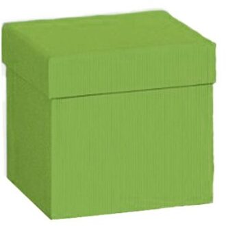 Stewo geschenkdoosje, formaat 13,5 x 13,5 x 12,5 cm., kleur groen