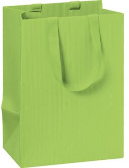 Stewo geschenktasje basic, formaat 10 x 8 x 14 cm., kleur groen