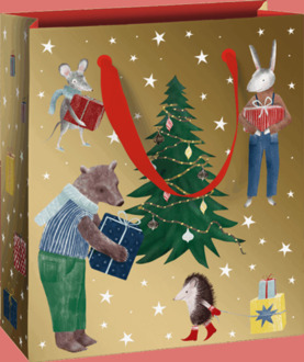 Stewo geschenktasje kids melin, formaat 18 x 8 x 21 cm