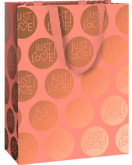 Stewo valentijnsdag geschenktasje, formaat 23 x 13 x 30 cm. - amita rosa
