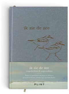 Stichting Plint Ik Zie De Zee