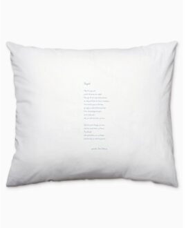 Stichting Plint Plint Kussensloop 'Vogel' Theo Olthuis - Theo Olthuis