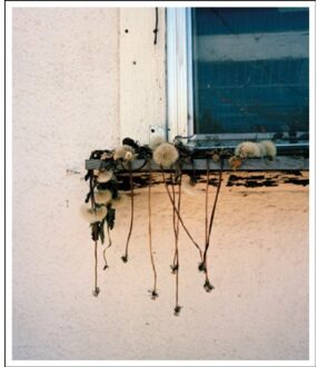 Stick Holding Branch - Wytske van Keulen