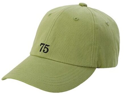 Stijl Modieuze Dame Borduurwerk Leisure Cap Vrouwelijke Liefhebbers Soft Top Zonnescherm Persoonlijkheid Baseball Cap Mannelijke groen