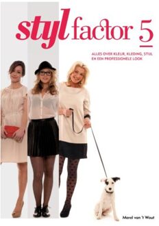 stijlfactor 5 - Boek Merel van 't Wout (9080711187)