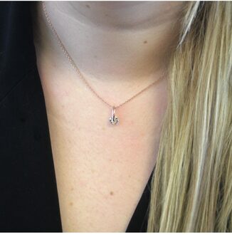 Stijlvolle hanger - Oostenrijks kristal - maat Wit en roségoud