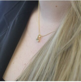 Stijlvolle hanger - Oostenrijks kristal Wit & Goud