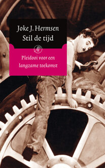 Stil de tijd - Boek Joke J. Hermsen (9029573600)