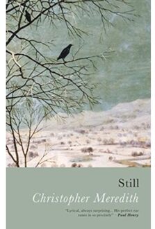 Still - Christopher Meredith