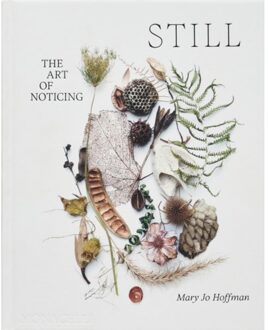 Still - Mary Jo Hoffman