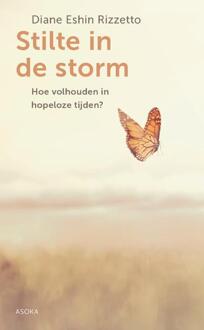 Stilte In De Storm - Diane Rizzetto