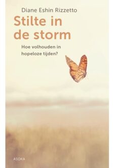 Stilte In De Storm - Diane Rizzetto