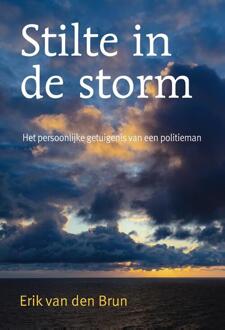 Stilte in de storm -  Erik van den Brun (ISBN: 9789463693523)