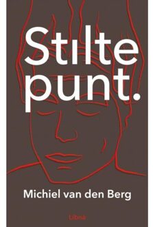 Stiltepunt - Michiel Van den Berg