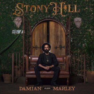 Stony Hill (Deluxe) (LP)