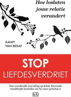 Stop liefdesverdriet - Boek Ammy van Bedaf (9491472763)