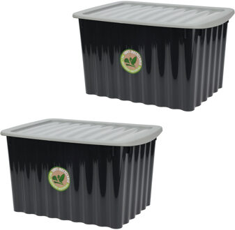 Storage Solutions 2x Stuks Opbergdozen/organizers met deksel - kunststof - 27L