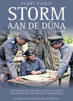 Storm aan de Düna -  Perry Pierik (ISBN: 9789464872415)