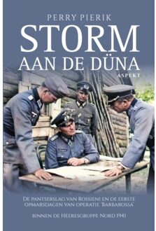 Storm Aan De Düna - Perry Pierik