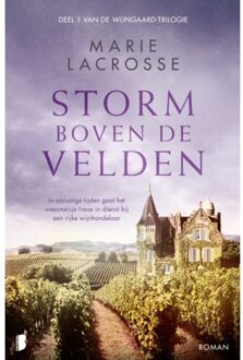 Storm Boven De Velden - Wijngaard - Marie Lacrosse