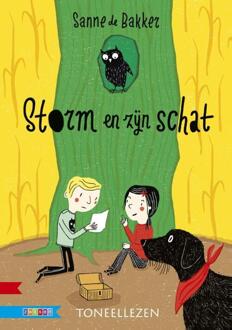 Storm en zijn schat - Boek Sanne de Bakker (9048721547)