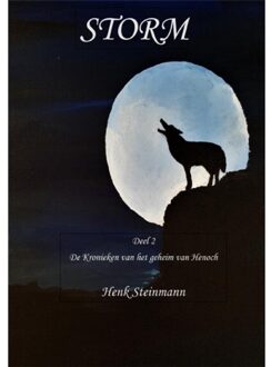 Storm - Kronieken Van Het Geheim Van Henoch - Henk Steinmann
