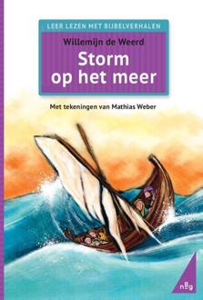Storm op het meer -  Willemijn de Weerd (ISBN: 9789089123664)